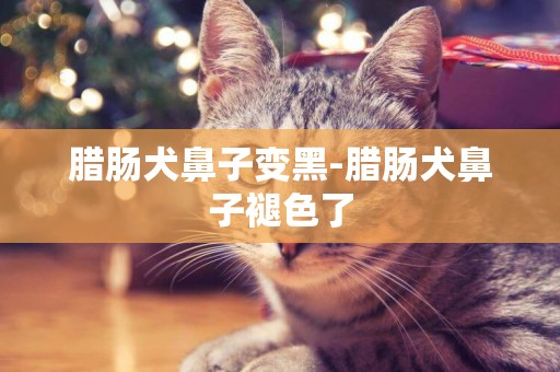 臘腸犬鼻子變黑-臘腸犬鼻子褪色了