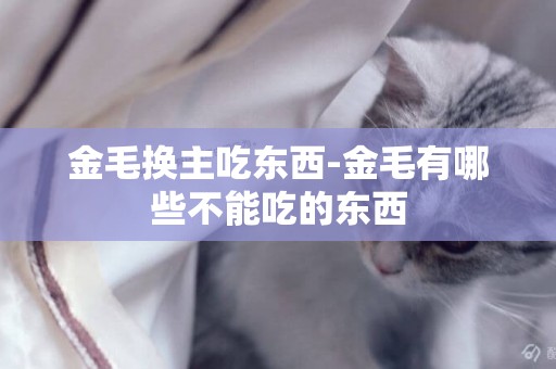 金毛換主吃東西-金毛有哪些不能吃的東西