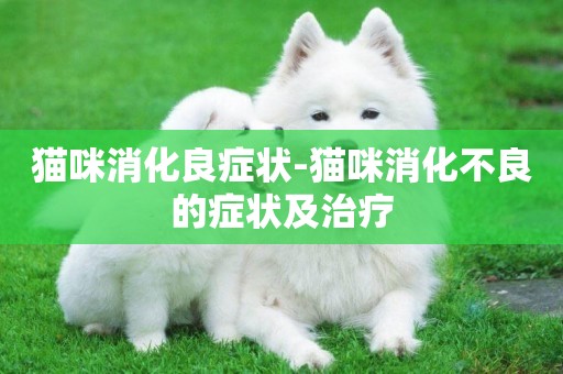 貓咪消化良癥狀-貓咪消化不良的癥狀及治療