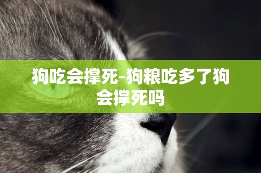 狗吃會撐死-狗糧吃多了狗會撐死嗎