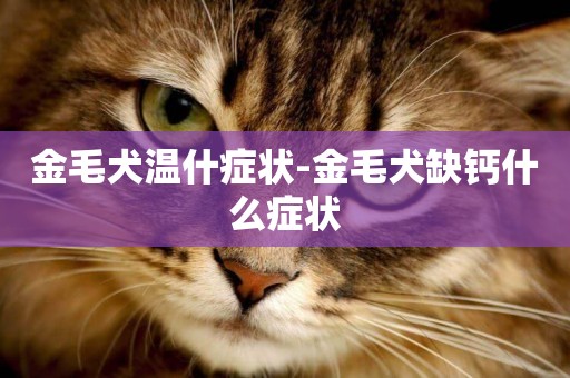 金毛犬溫什癥狀-金毛犬缺鈣什么癥狀