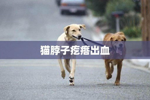 貓脖子疙瘩出血