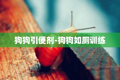 狗狗引便劑-狗狗如廁訓練