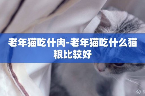 老年貓吃什肉-老年貓吃什么貓糧比較好