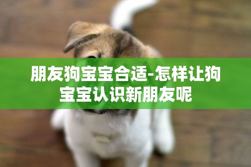朋友狗寶寶合適-怎樣讓狗寶寶認識新朋友呢
