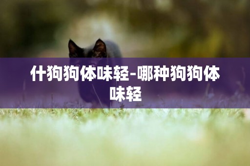 什狗狗體味輕-哪種狗狗體味輕