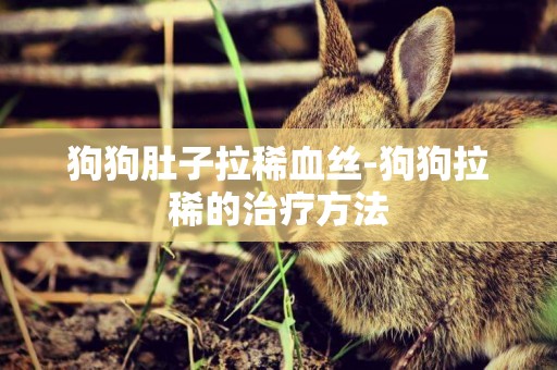 狗狗肚子拉稀血絲-狗狗拉稀的治療方法