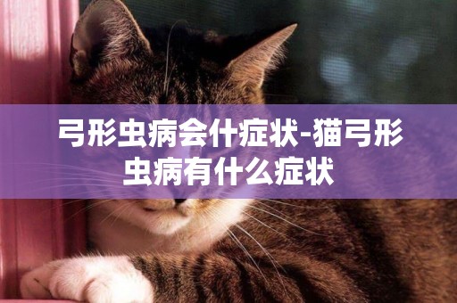 弓形蟲病會什癥狀-貓弓形蟲病有什么癥狀