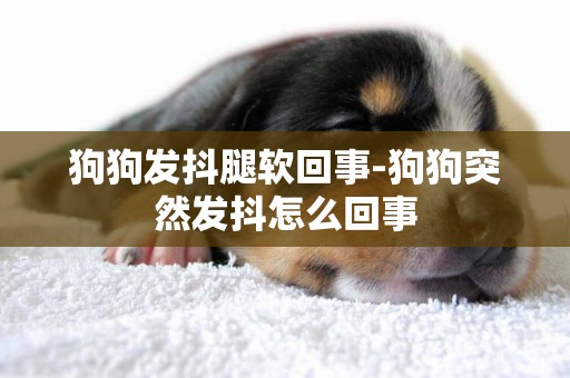 狗狗發抖腿軟回事-狗狗突然發抖怎么回事