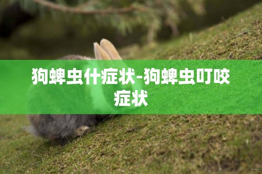 狗蜱蟲什癥狀-狗蜱蟲叮咬癥狀