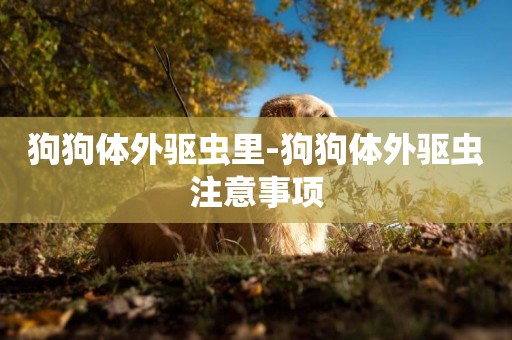 狗狗體外驅蟲里-狗狗體外驅蟲注意事項