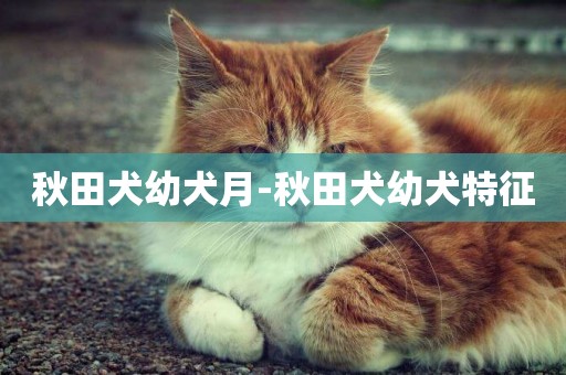 秋田犬幼犬月-秋田犬幼犬特征