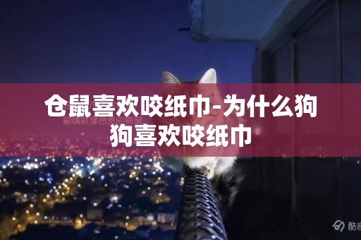 倉鼠喜歡咬紙巾-為什么狗狗喜歡咬紙巾
