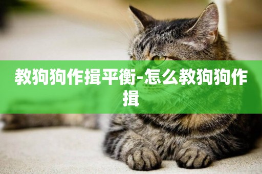 教狗狗作揖平衡-怎么教狗狗作揖