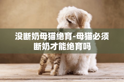 沒斷奶母貓絕育-母貓必須斷奶才能絕育嗎