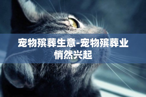 寵物殯葬生意-寵物殯葬業悄然興起