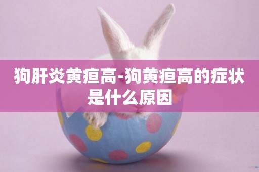 狗肝炎黃疸高-狗黃疸高的癥狀是什么原因