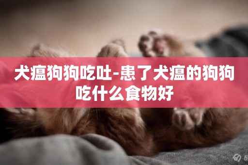 犬瘟狗狗吃吐-患了犬瘟的狗狗吃什么食物好