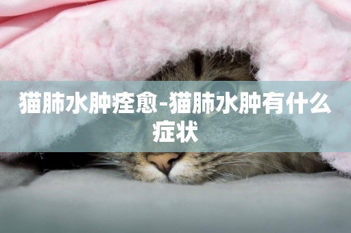 貓肺水腫痊愈-貓肺水腫有什么癥狀
