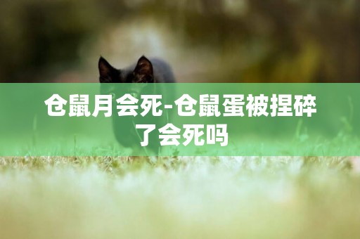 倉鼠月會死-倉鼠蛋被捏碎了會死嗎