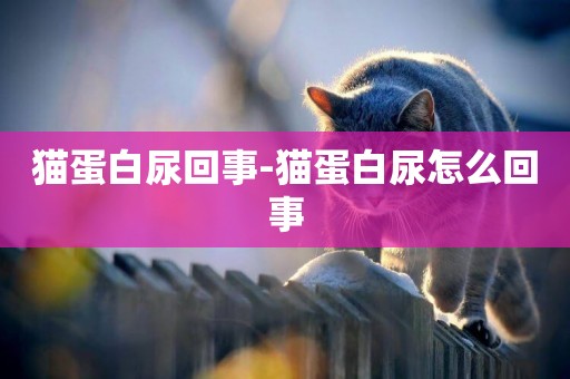貓蛋白尿回事-貓蛋白尿怎么回事