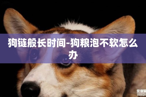 狗鏈般長時間-狗糧泡不軟怎么辦