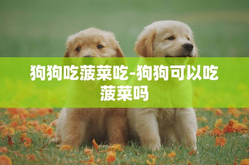 狗狗吃菠菜吃-狗狗可以吃菠菜嗎