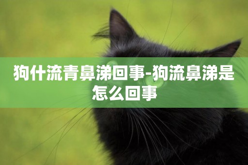 狗什流青鼻涕回事-狗流鼻涕是怎么回事