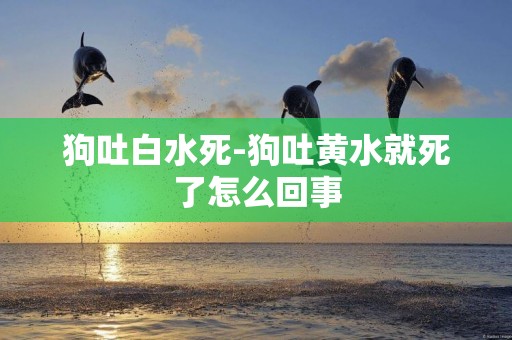 狗吐白水死-狗吐黃水就死了怎么回事
