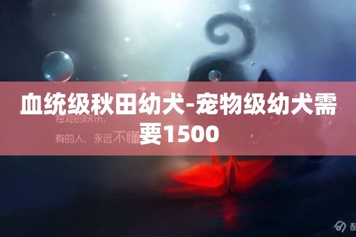 血統級秋田幼犬-寵物級幼犬需要1500