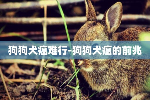 狗狗犬瘟難行-狗狗犬瘟的前兆