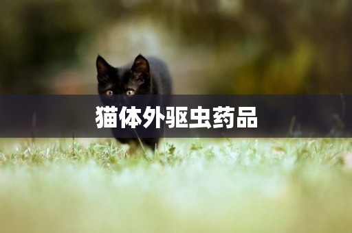 貓體外驅蟲藥品