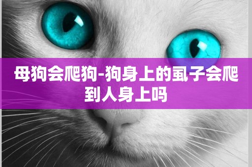 母狗會爬狗-狗身上的虱子會爬到人身上嗎