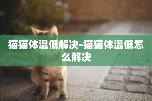貓貓體溫低解決-貓貓體溫低怎么解決
