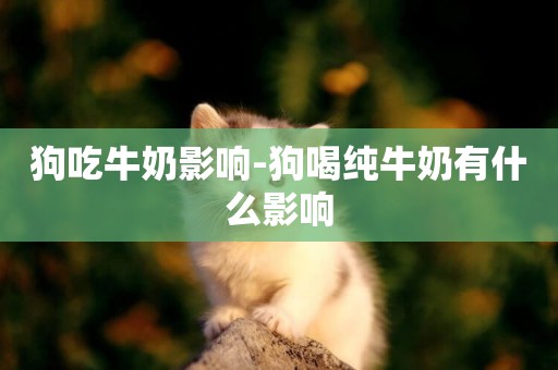 狗吃牛奶影響-狗喝純牛奶有什么影響