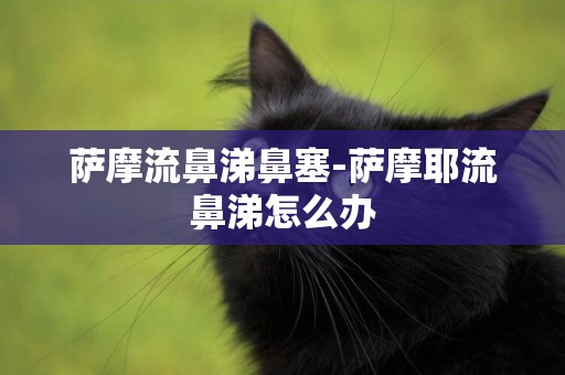 薩摩流鼻涕鼻塞-薩摩耶流鼻涕怎么辦