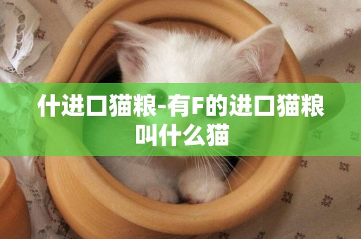 什進口貓糧-有F的進口貓糧叫什么貓