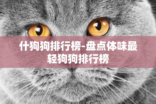 什狗狗排行榜-盤點體味最輕狗狗排行榜
