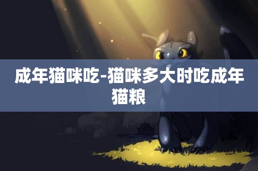 成年貓咪吃-貓咪多大時吃成年貓糧