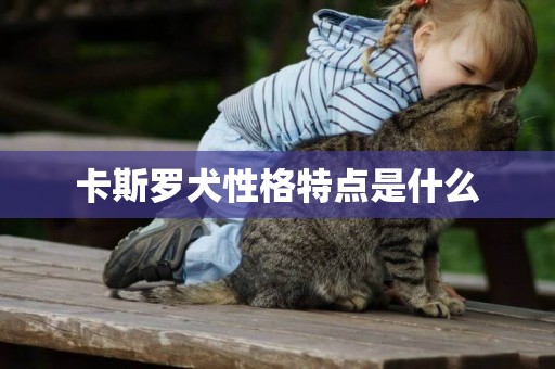 卡斯羅犬性格特點是什么