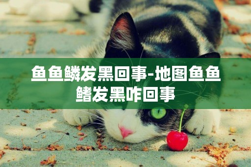 魚魚鱗發黑回事-地圖魚魚鰭發黑咋回事