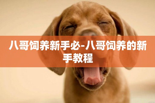 八哥飼養新手必-八哥飼養的新手教程