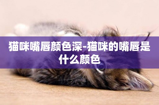 貓咪嘴唇顏色深-貓咪的嘴唇是什么顏色