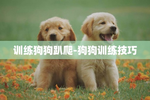 訓練狗狗趴爬-狗狗訓練技巧