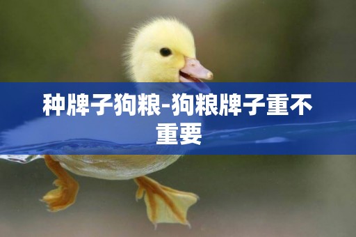 種牌子狗糧-狗糧牌子重不重要