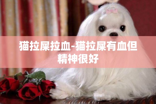 貓拉屎拉血-貓拉屎有血但精神很好