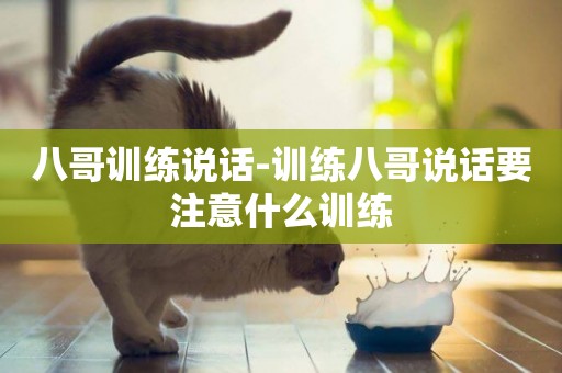 八哥訓練說話-訓練八哥說話要注意什么訓練