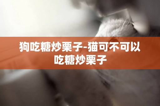 狗吃糖炒栗子-貓可不可以吃糖炒栗子
