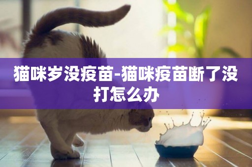 貓咪歲沒疫苗-貓咪疫苗斷了沒打怎么辦