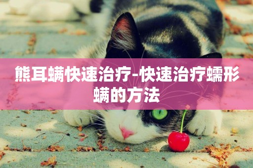 熊耳螨快速治療-快速治療蠕形螨的方法